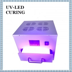 MINI UV-Härtungsbox